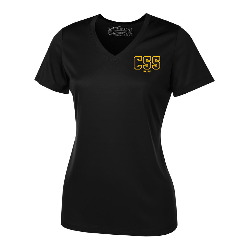 Ladies V-Neck T-Shirt