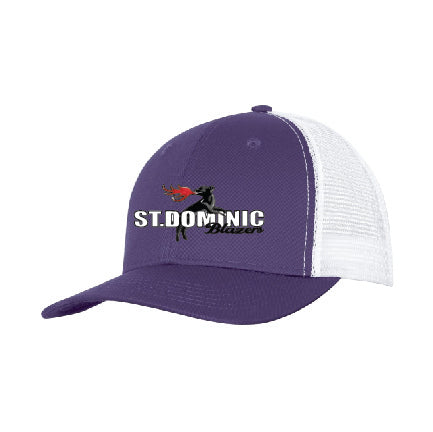 Mesh Back Hat